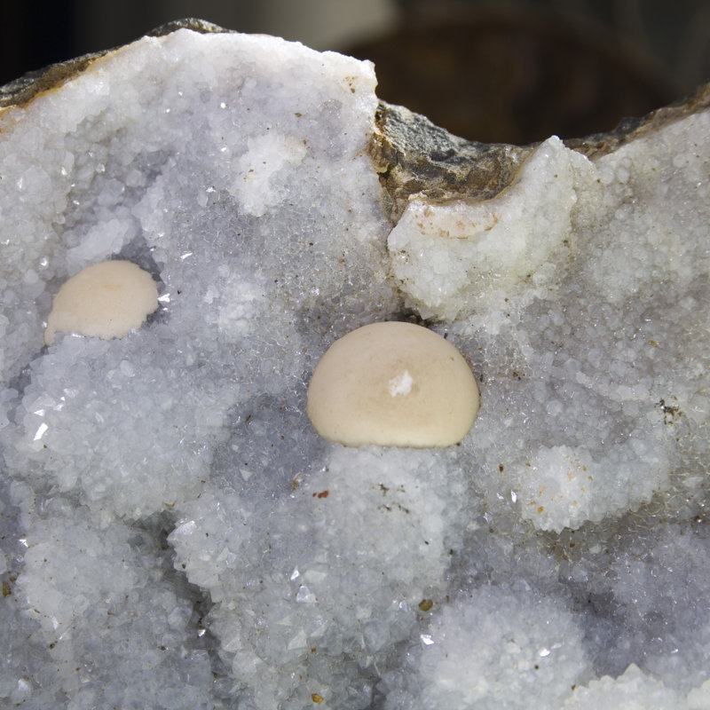 Cristal Casheena