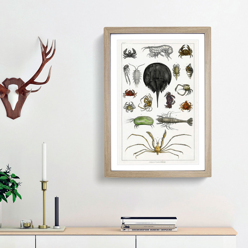 Crabs & Lobsters by Oliver Goldsmith - Picture Frame Painting Print, 48cm H x 36cm W x 2cm D, Oak Framed