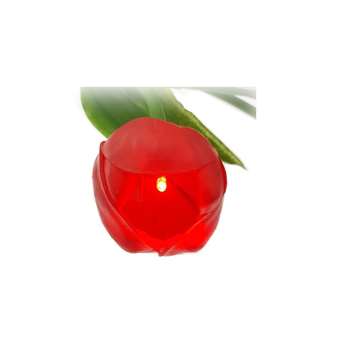 Champ Novelty Lamp, Red