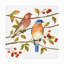 Jane Maday «Birds and Berries IV», toile d'extérieur-87945172