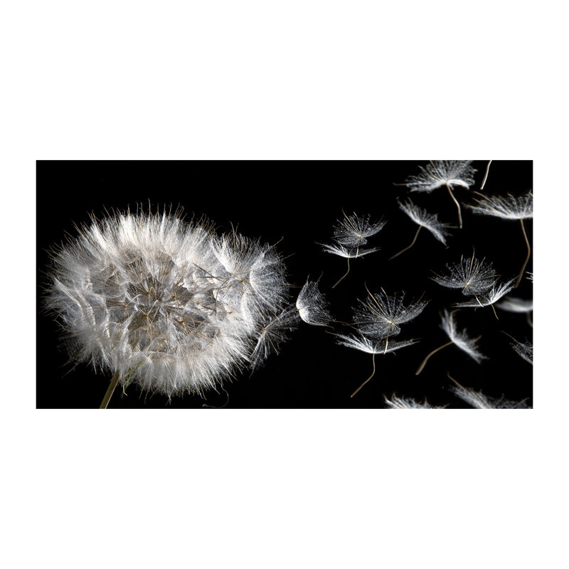 Dandelion - Wrapped Canvas Print