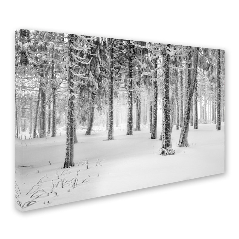 « frozen world » par philippe sainte-laudy, reproduction de photo sur toile tendue, H 30 po x l 47 po x P 2 po