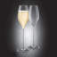 White Wine Glass Set