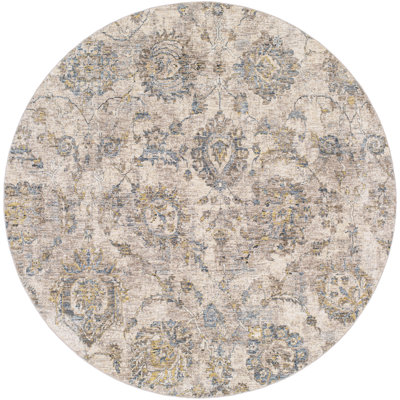 Oriental Indoor Rug