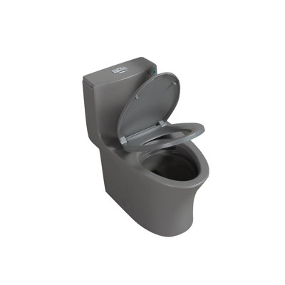 1.1/1.60 GPF Dual-Flush One Piece Toilet, Water-Saving Elongated Comfort Height Floor Mounted, Soft Closing Seat, 1000 Gram Map Flushing Score Toilet, Light Grey