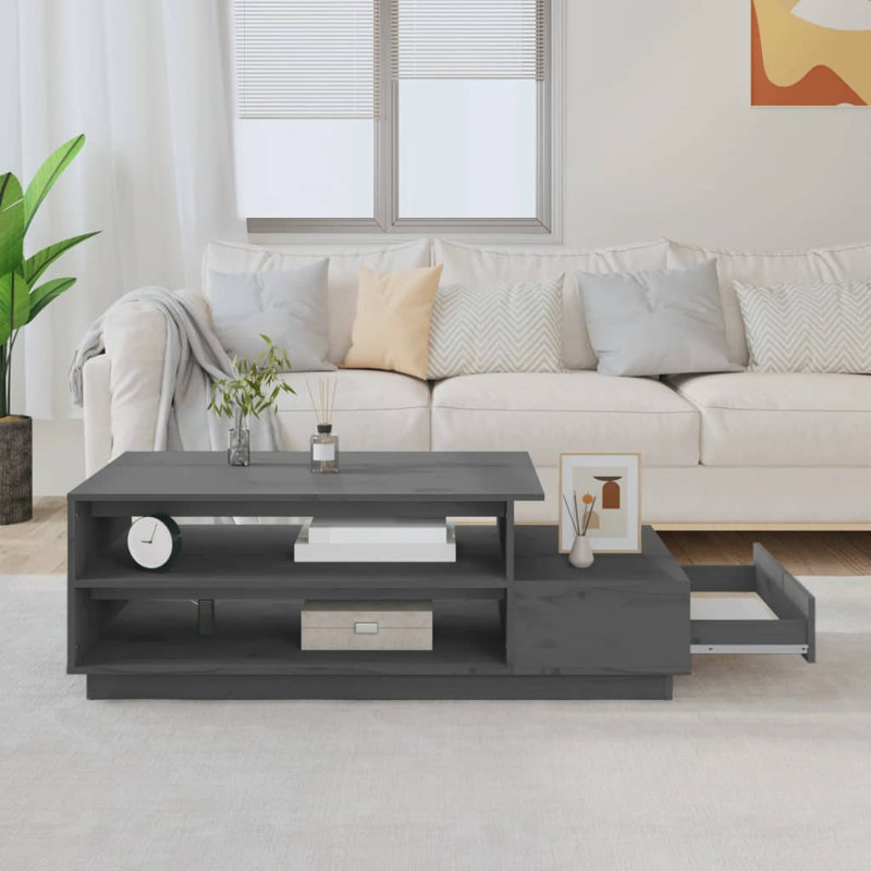 Nyall Solid Wood Floor Shelf Coffee Table with Storage, Grey