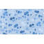 Paule Marrot Floral Non-Pasted Satin Wallpaper Double Roll-1189024623