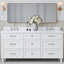 ARIEL Monroe 73 Double Sink Bathroom Vanity with Pure Quartz Top-1680735483