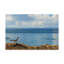 « road runner view », reproduction de photo sur toile tendue-32718088