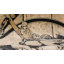 Tapis vert Rugs.com Pioneer-927122507