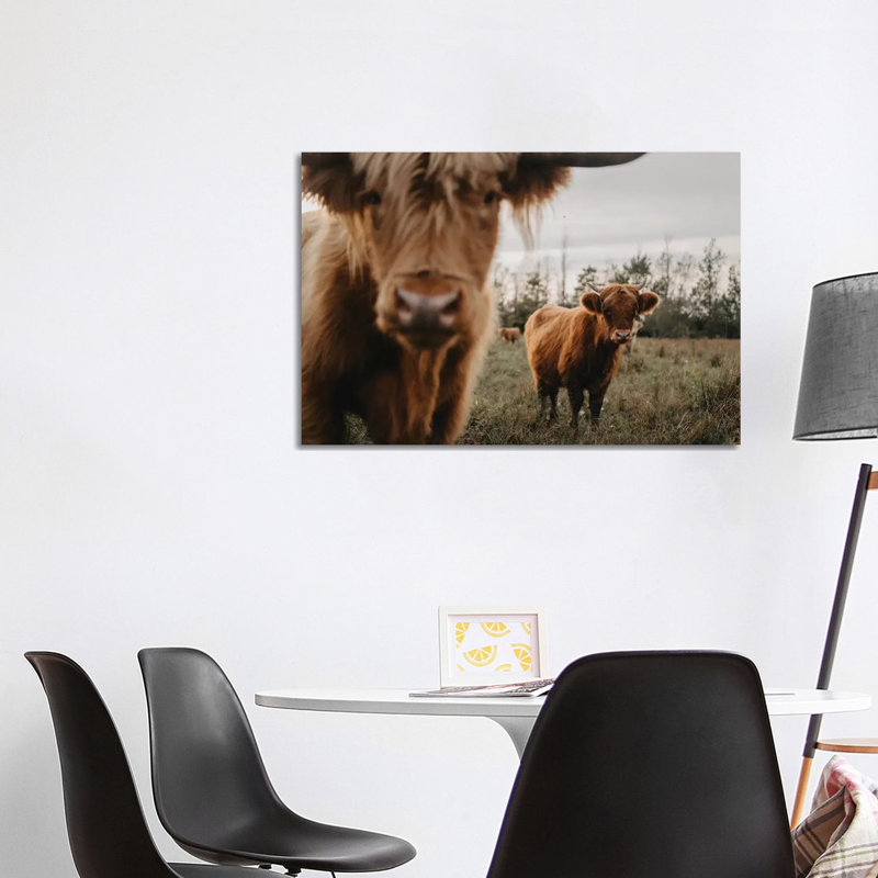 The Highland Cows by Chelsea Victoria - Wrapped Canvas Gallery-Wrapped Canvas Giclée, 101.6 cm H x 66.04 cm W x 1.91 cm D