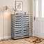 15 Pair Shoe Storage Cabinet