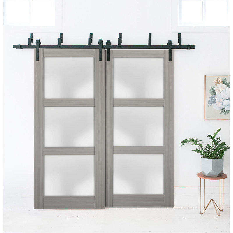 Portes de grange en verre givré Lucia avec quincaillerie d'installation, Bois de frêne gris, 56 po x 96 po
