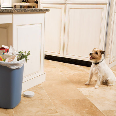 Barrière d'intérieur pour chien Pawz Away