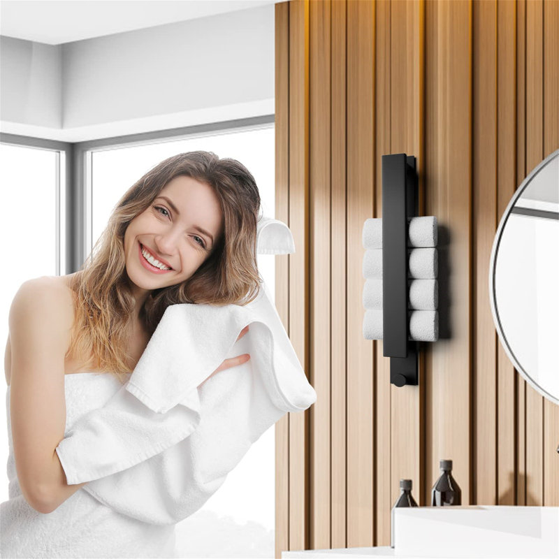Goodridge 6.3 cm L Towel Rack, Matte Black