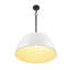 Luminaire suspendu à 1 lumière Reannon