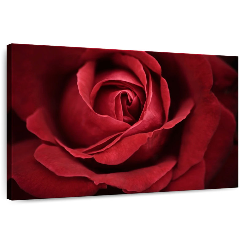 Pétales de rose Harnek, H 16 po x l 24 po