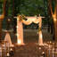 Eiren 300cm W x 100cm D Solid Wood Garden Arches in Brown