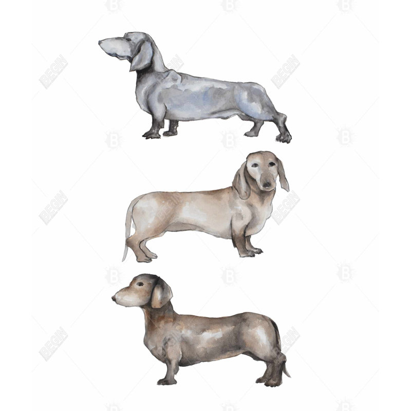 Small dachshund dog Gray duvet cover | Home decor essential
