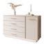 Bayden Chest of Drawers-1667091732