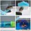 Hamster Cage with Water Bottle Exercise Wheel Tubes Ramps - Blue