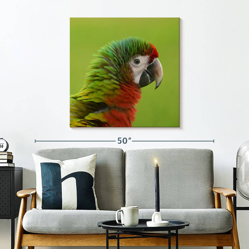 Brampt Macaw Bird Head, 30" H x 30" W
