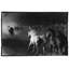 Hoof Dreams Print by Raab, Amy-1841874270-1841874271