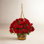 UV Resistant Geranium Hanging Basket