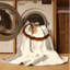 Tapis beige de couleur unie moderne lavable à la machine Easton Coconut-1790014836