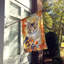 Chat en feuilles d'automne-112700510