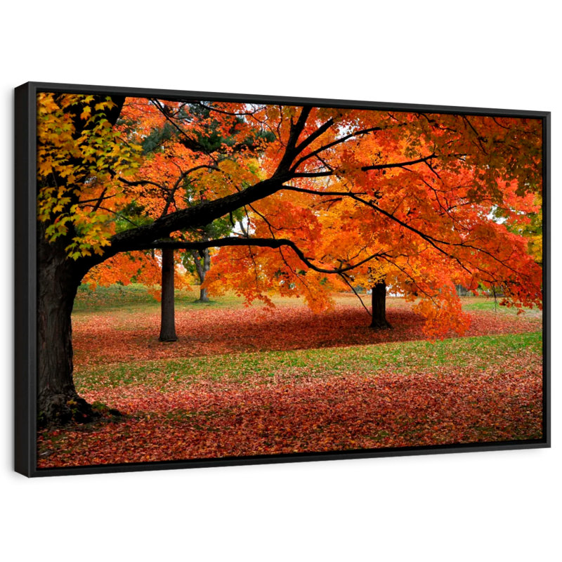 «New England Autumn Colors», reproduction sur toile, H 31 po x l 21 po