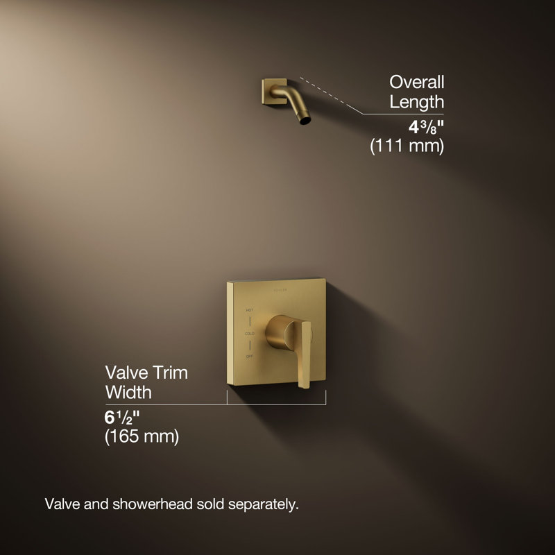 Honesty Rite-Temp(R) Shower Valve Trim with Lever Handle, Less Showerhead, Vibrant Brushed Moderne Brass