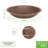 Aster Birdbath