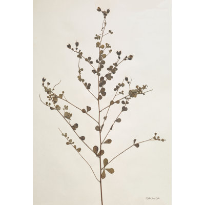Collection Herbier 2