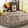 Donivin Performance Oriental Indoor/Outdoor Area Rug
