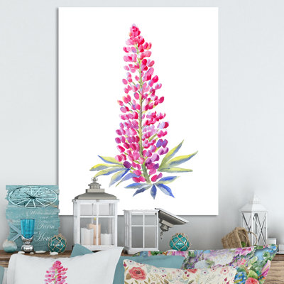 Cône de lupin rouge en fleurs - On
