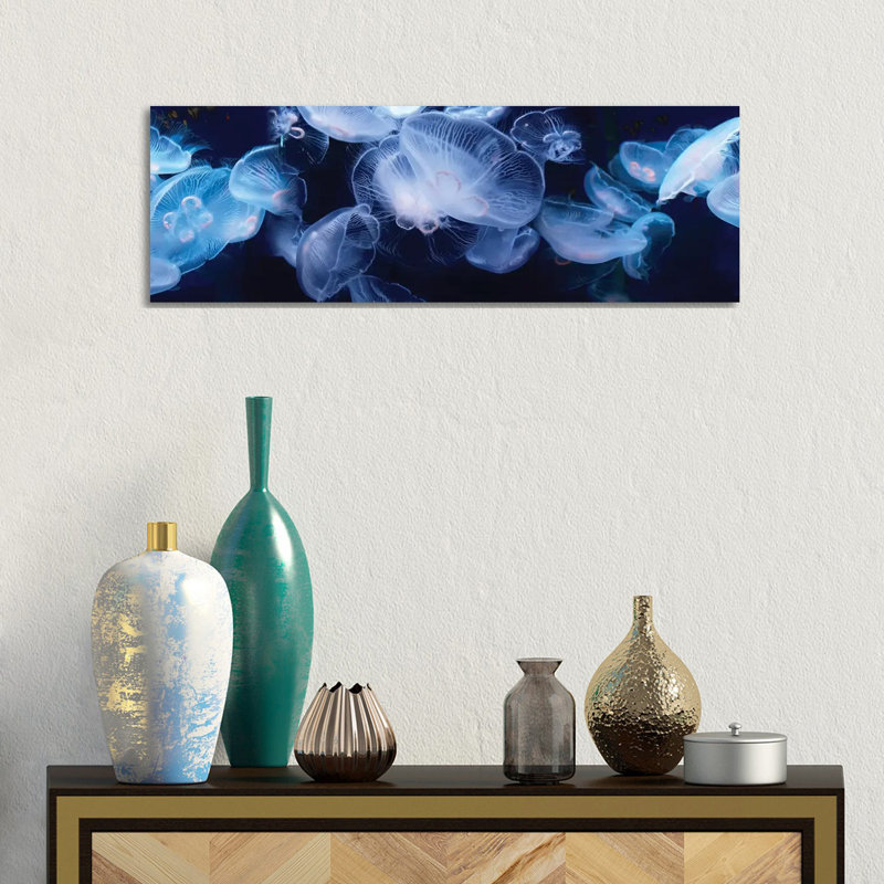 Jellyfish Swimming Underwater - Wrapped Canvas Panoramic Print, 30.48 cm H x 91.44 cm W x 1.91 cm D