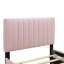 Lit plateforme tapissier en velours avec lit gigogne-530484481-530484495