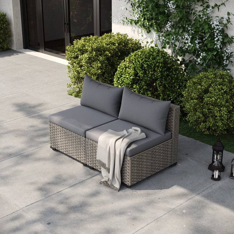 Ensemble de 2 chaises d'extérieur en osier pour l'extérieur, Gris