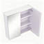 W H Medicine Cabinet Mirror