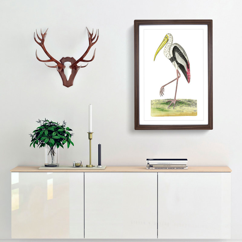 White Ibis by George Shaw - Picture Frame Painting Print, 36cm H x 27cm W x 2cm D, Walnut Framed
