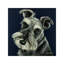 Schnauzer Navy - Wrapped Canvas Painting-1010410142