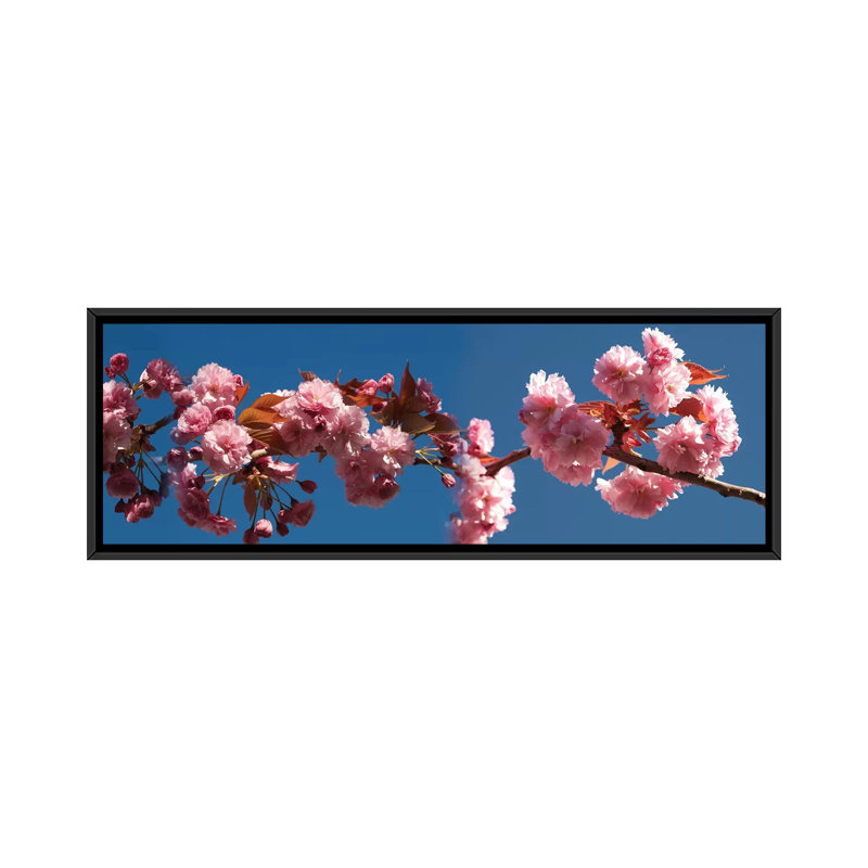 A Branch of Cherry Blossoms, reproduction de photo sur toile tendue, H 12 po x l 36 po x P 1,5 po, Toile encadrée noire