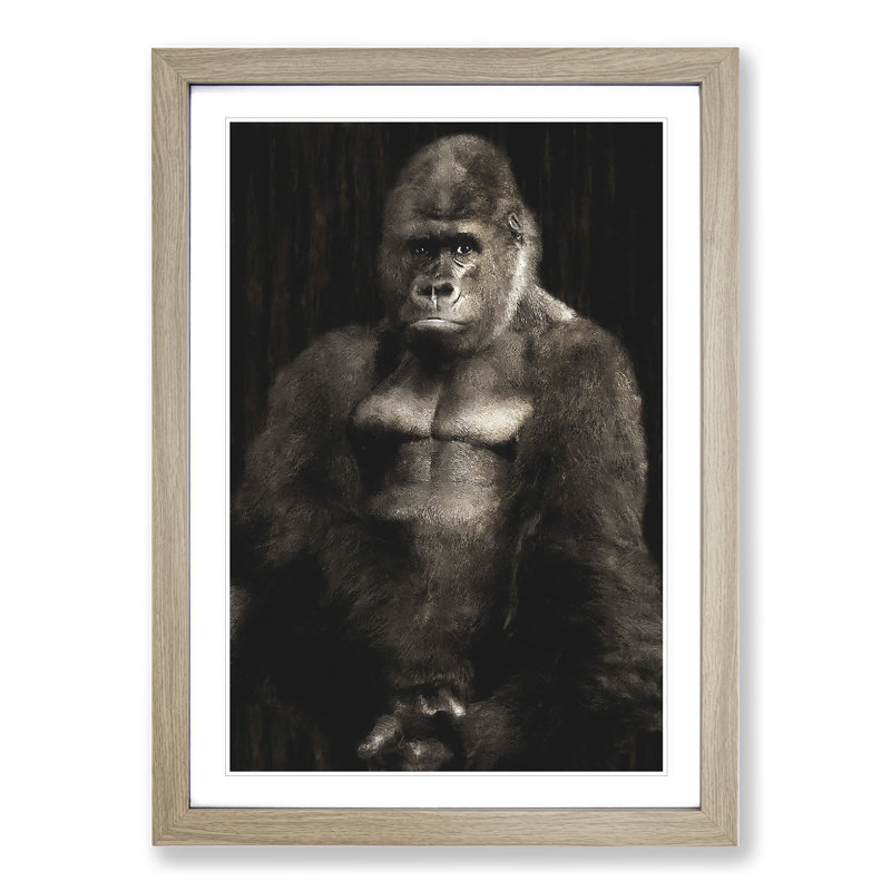 Silverback Gorilla Vol.2 - Framed Print, 65cm H x 48cm W x 2cm D, Oak Framed