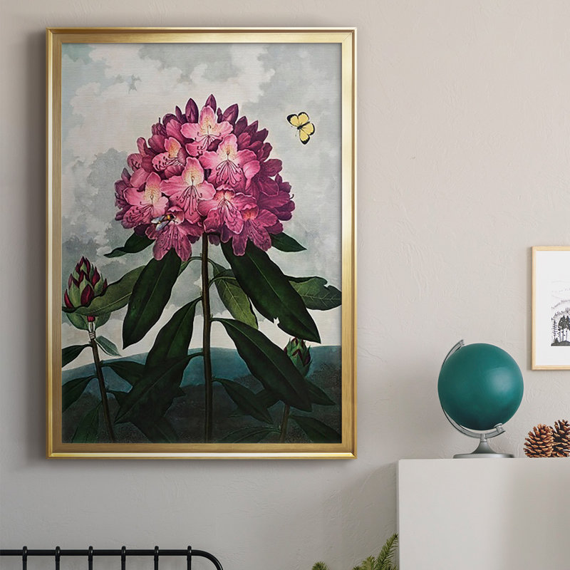 Temple of Flora X, reproduction encadrée de qualité supérieure - prête à être accrochée, H 42,5 po x l 30,5 po x P 1 po, Or