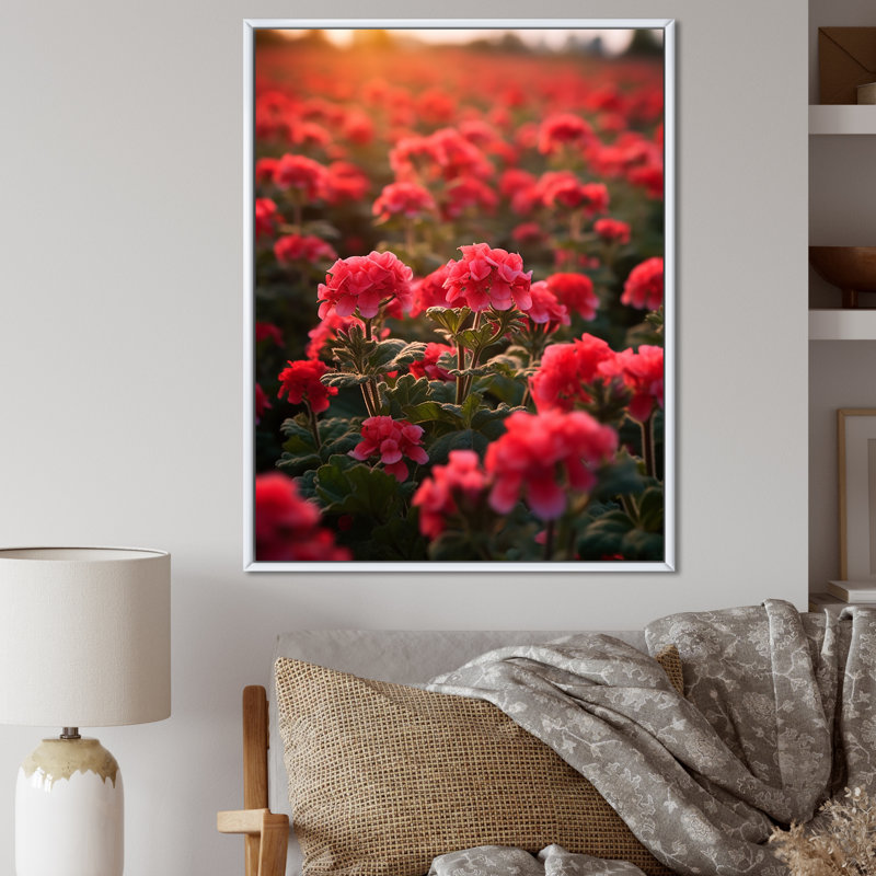 Photo Og Geraniums Field II sur toile, H 32 po x l 16 po x P 1 po, Cadre flottant blanc