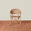 Antibes Arm Chair