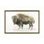 « buffalo bill » par james wiens,-reproduction d’art-53128647-49920247