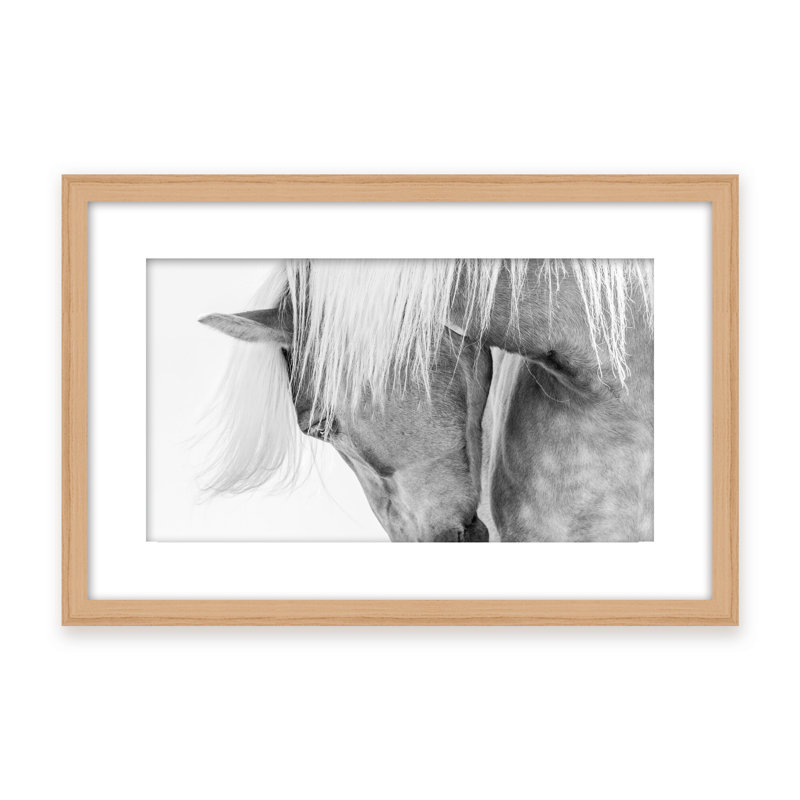 Nature Inspired Halflinger Portrait by  - Picture Frame Photograph on Paper, Black, Framed Canvas, 16" H x 24" W x 2.375" D