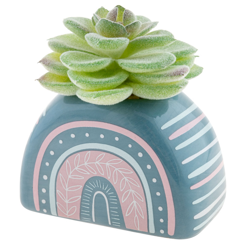 Pot succulent en forme d'arc-en-ciel